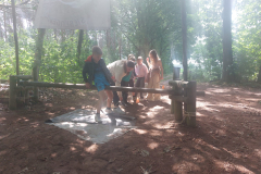 IMG-20250708-WA0113