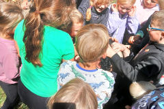 IMG-20250709-WA0158