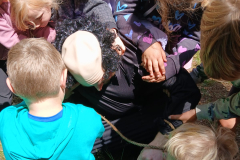 IMG-20250709-WA0162