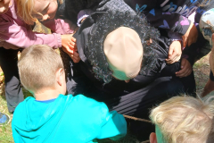IMG-20250709-WA0165