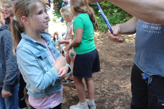 IMG-20250709-WA0214