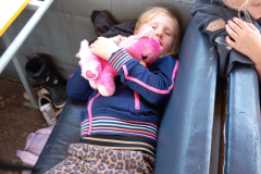 IMG-20250709-WA0239