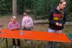 IMG-20250709-WA0246