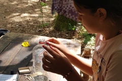 20190709_142332 (778x1600)
