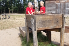 20190706_102002 (1200x1600)
