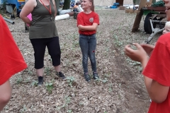 20190706_154428 (1200x1600)