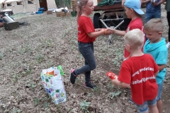 20190706_154551 (1200x1600)