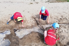 IMG-20190720-WA0030 (1599x1200)