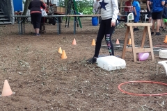 20190707_113510 (1200x1600)