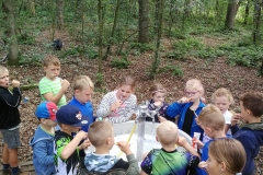 IMG-20190712-WA0029 (1200x1600)