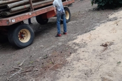 IMG-20211031-WA0395