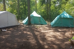 IMG-20180708-WA0019