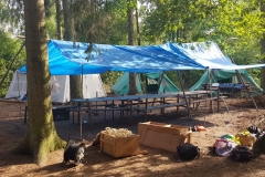 IMG-20180708-WA0024